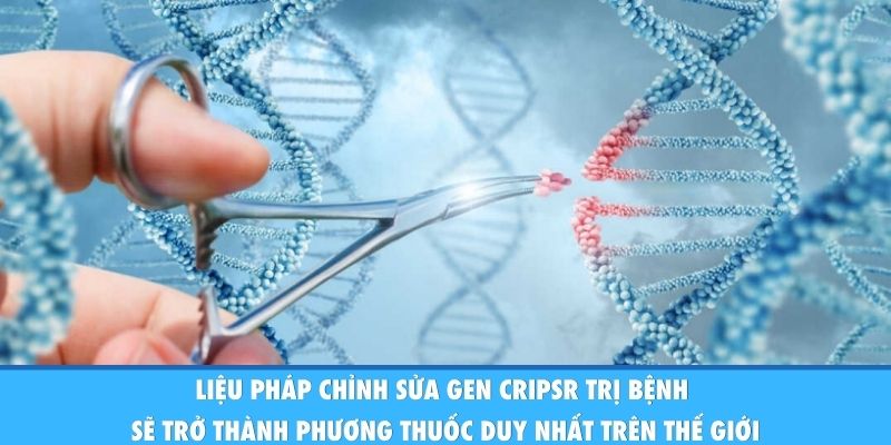 Chỉnh Sửa Gen CRISPR Trị Bệnh: Y Học Bước Sang Kỷ Nguyên Mới Liệu pháp chỉnh sửa gen CRIPSR trị bệnh sẽ trở thành phương thuốc duy nhất trên thế giới