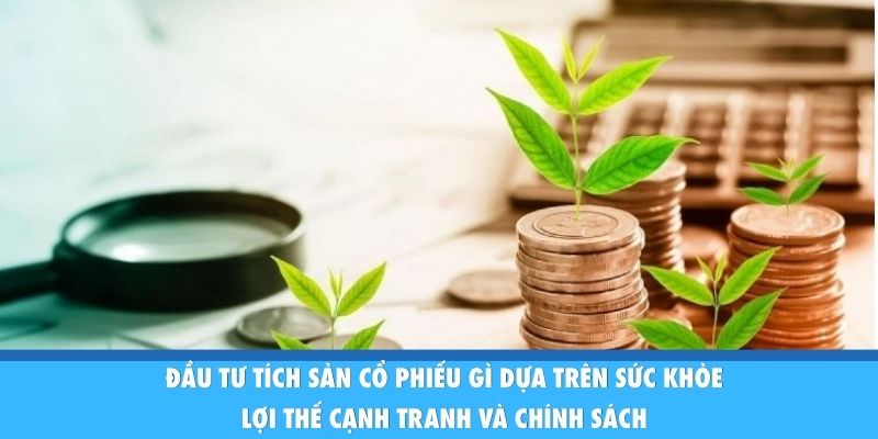 Đầu Tư Tích Sản Cổ Phiếu Gì Để Tự Do Tài Chính Bền Vững? Đầu tư tích sản cổ phiếu gì dựa trên sức khỏe, lợi thế cạnh tranh và chính sách