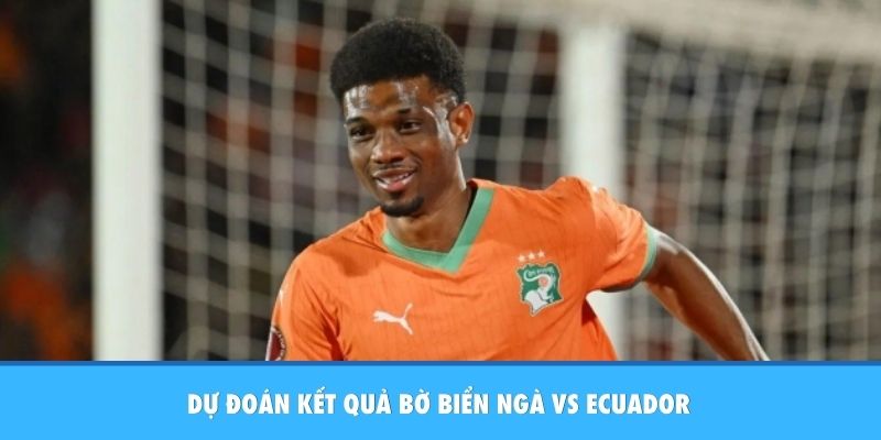 Nhận Định Bờ Biển Ngà Vs Ecuador: Long Hổ Tranh Hùng Tại Bảng E Dự đoán kết quả Bờ Biển Ngà vs Ecuador